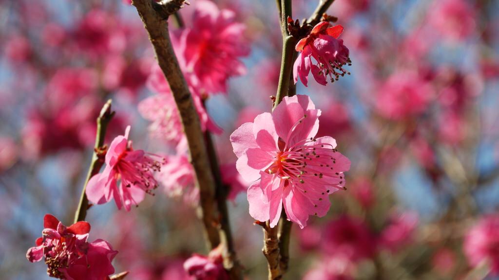 合作體驗✓廠商邀稿業配、體驗合作原則