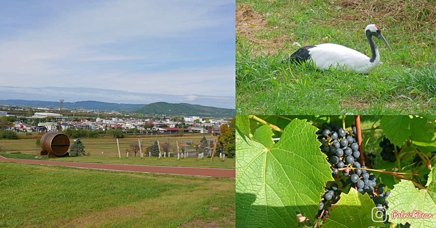 丹頂鶴自然公園