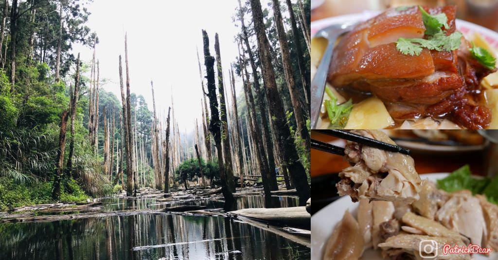 富隆莊餐廳 忘憂森林
