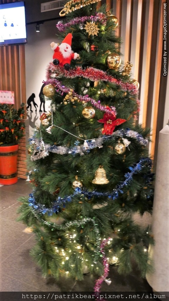 13.JPG