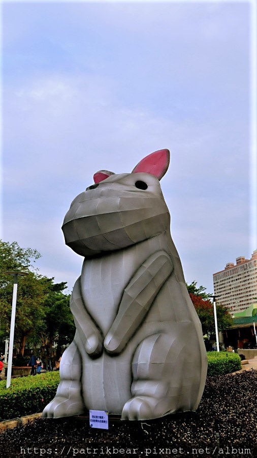 46.jpg