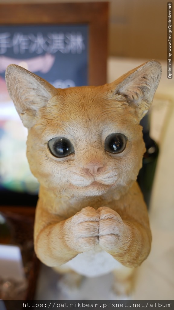 21.JPG