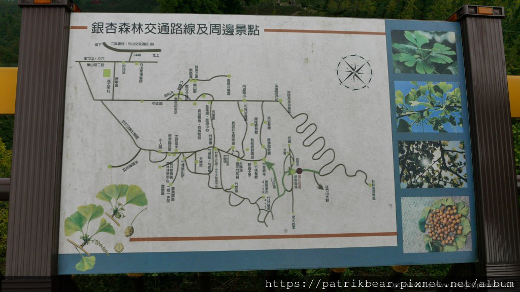 15.JPG