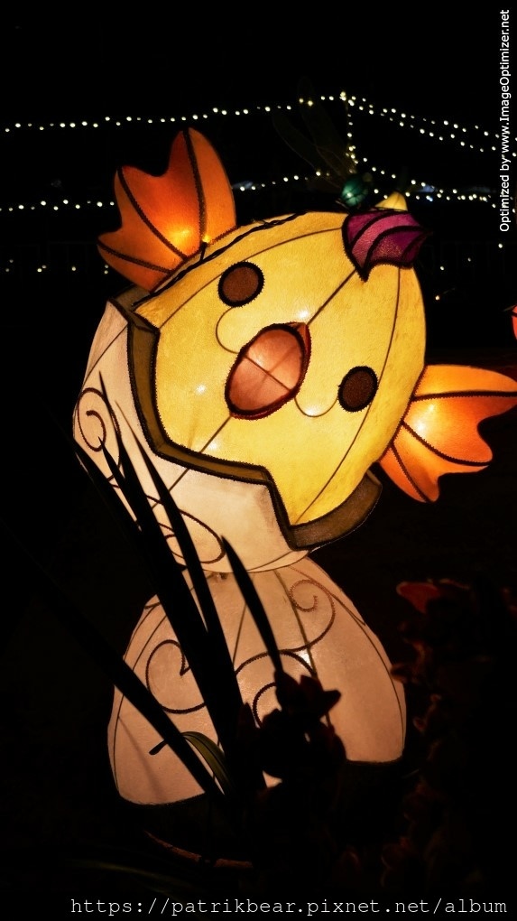 19.JPG