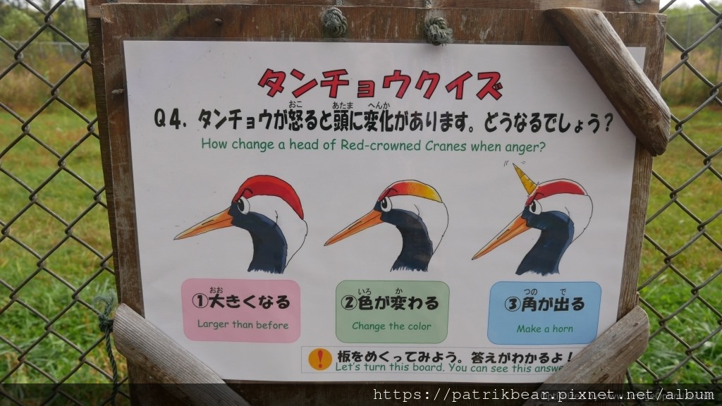 12.JPG