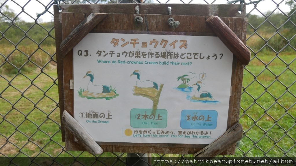 9.JPG