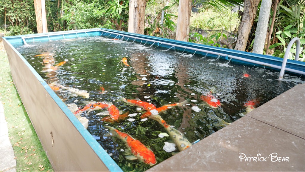 荷塘月色火鍋店︱主打和牛、捲餅、牛肉麵吃到飽的中興新村火鍋店～114.7月搬至南投，更名為”小聚場”!