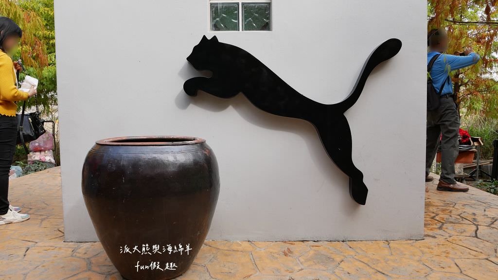 臺中后里泰安落羽松。羽粼落羽松｜冬季限定的落羽松秘境、交錯漸層色彩倒映湖面如詩又如畫～大約12月開始變色!