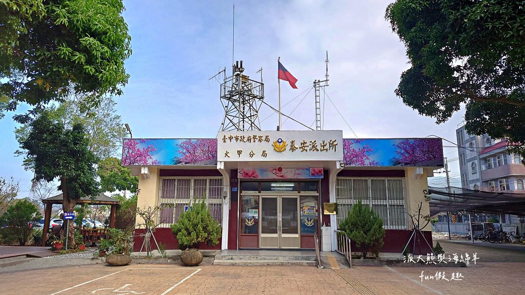 臺中后里泰安落羽松。羽粼落羽松｜冬季限定的落羽松秘境、交錯漸層色彩倒映湖面如詩又如畫～大約12月開始變色!