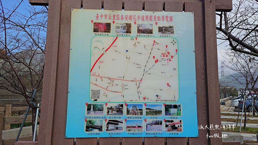 臺中后里泰安落羽松。羽粼落羽松｜冬季限定的落羽松秘境、交錯漸層色彩倒映湖面如詩又如畫～大約12月開始變色!