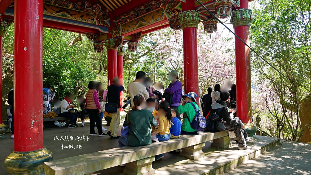 內湖碧山巖櫻花步道｜免出國也可享受粉嫩櫻花與寺廟步道結合的浪漫風景!110