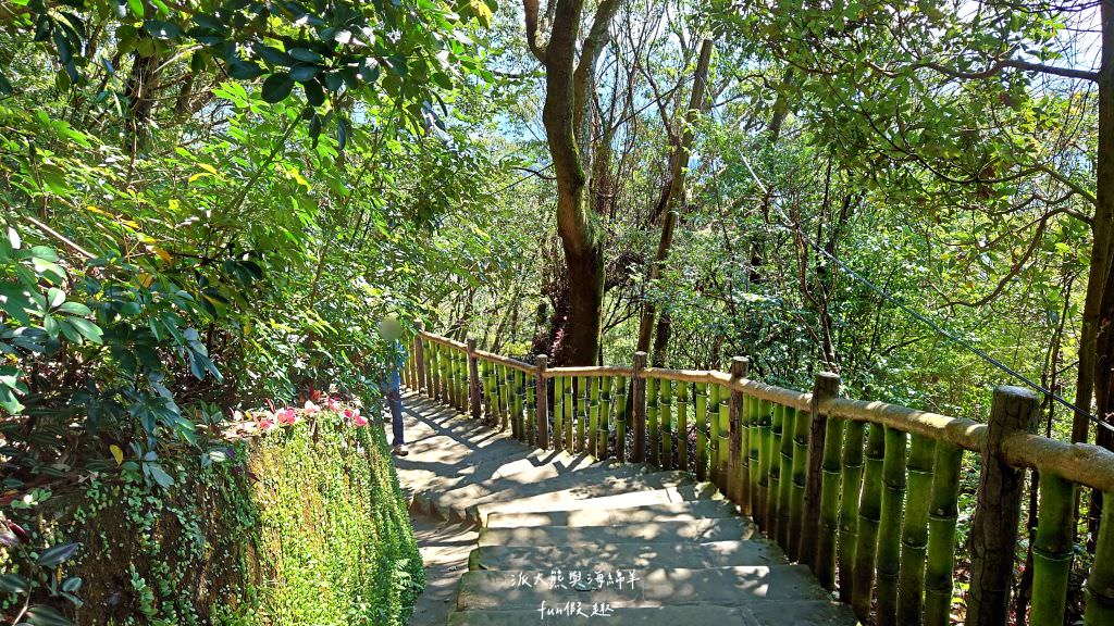 內湖碧山巖櫻花步道｜免出國也可享受粉嫩櫻花與寺廟步道結合的浪漫風景!110