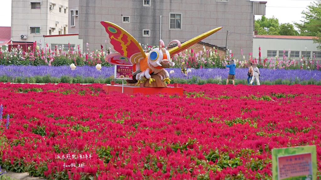 學甲蜀葵花文化節★4月花況．臺南學甲年度盛事．欣賞五顏六色的蜀葵花、鼠尾草、百日草、雞冠花、萬壽菊描繪出光華里民活動中心最美的必逛花海，也別忘了品嘗學甲必吃的美食唷!來個學甲一日遊吧～