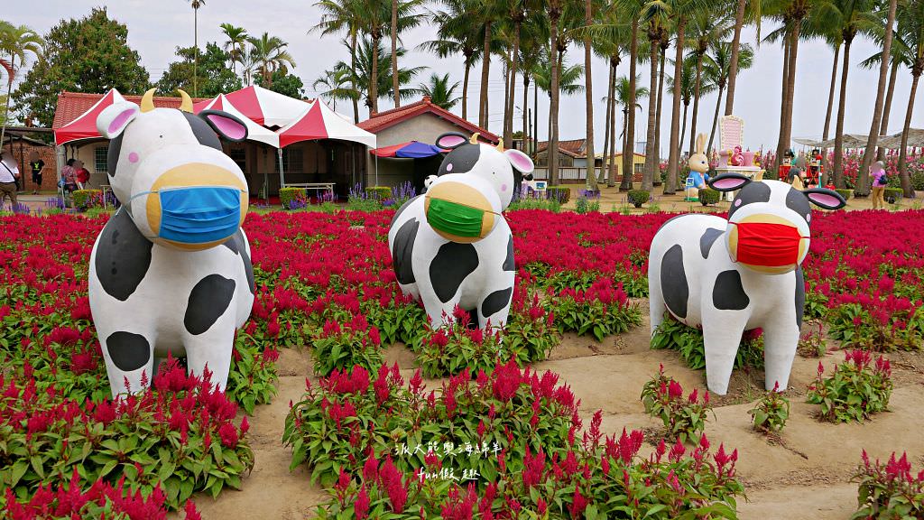 學甲蜀葵花文化節★4月花況．臺南學甲年度盛事．欣賞五顏六色的蜀葵花、鼠尾草、百日草、雞冠花、萬壽菊描繪出光華里民活動中心最美的必逛花海，也別忘了品嘗學甲必吃的美食唷!來個學甲一日遊吧～