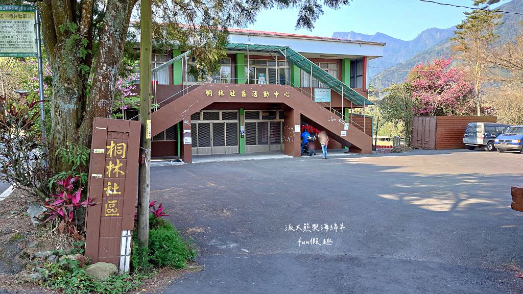 南投草坪頭櫻花．信義草坪頭玉山觀光茶園｜玉山山腰、中橫公路旁最夢幻的櫻花步道，花種繁多滿足大家賞櫻的渴望～2023草坪頭櫻花季開始囉!