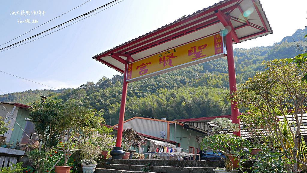 南投草坪頭櫻花．信義草坪頭玉山觀光茶園｜玉山山腰、中橫公路旁最夢幻的櫻花步道，花種繁多滿足大家賞櫻的渴望～2023草坪頭櫻花季開始囉!