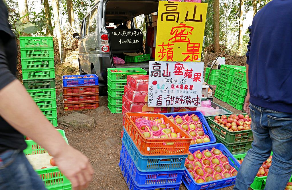 南投草坪頭櫻花．信義草坪頭玉山觀光茶園｜玉山山腰、中橫公路旁最夢幻的櫻花步道，花種繁多滿足大家賞櫻的渴望～2023草坪頭櫻花季開始囉!