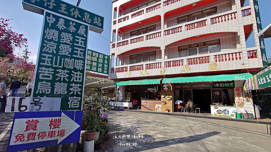 南投草坪頭櫻花．信義草坪頭玉山觀光茶園｜玉山山腰、中橫公路旁最夢幻的櫻花步道，花種繁多滿足大家賞櫻的渴望～2023草坪頭櫻花季開始囉!