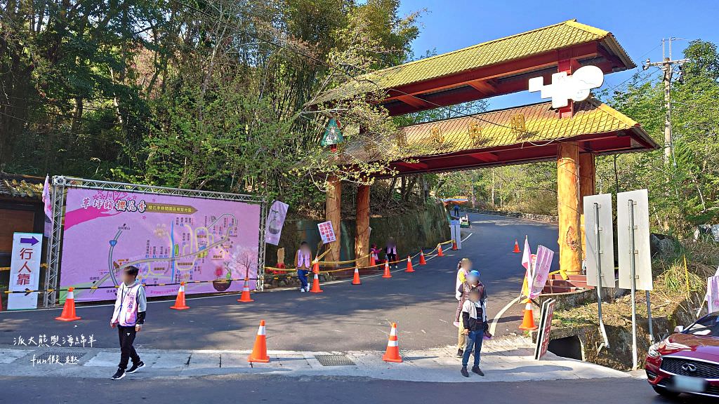 南投草坪頭櫻花．信義草坪頭玉山觀光茶園｜玉山山腰、中橫公路旁最夢幻的櫻花步道，花種繁多滿足大家賞櫻的渴望～2023草坪頭櫻花季開始囉!