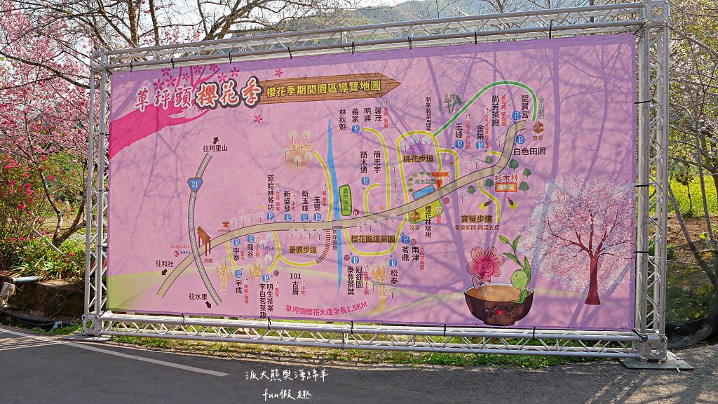 南投草坪頭櫻花．信義草坪頭玉山觀光茶園｜玉山山腰、中橫公路旁最夢幻的櫻花步道，花種繁多滿足大家賞櫻的渴望～2023草坪頭櫻花季開始囉!