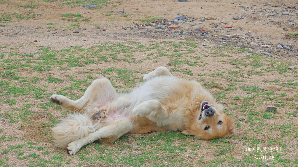 望安一日遊（含美食、景點及交通方式，中社古厝、花宅聚落、曾家古厝、澎湖望安綠蠵龜觀光保育中心、站長咖啡，吃喝玩樂就在這!）2訪囉✈2020澎湖三日補行程快閃之旅✈DAY3─1菊島漫遊