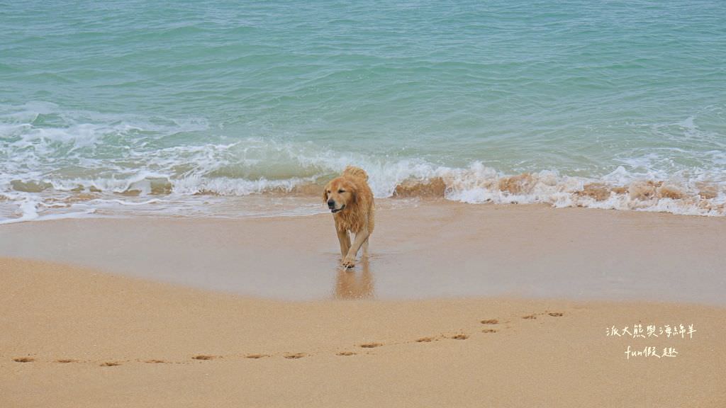 望安一日遊（含美食、景點及交通方式，中社古厝、花宅聚落、曾家古厝、澎湖望安綠蠵龜觀光保育中心、站長咖啡，吃喝玩樂就在這!）2訪囉✈2020澎湖三日補行程快閃之旅✈DAY3─1菊島漫遊