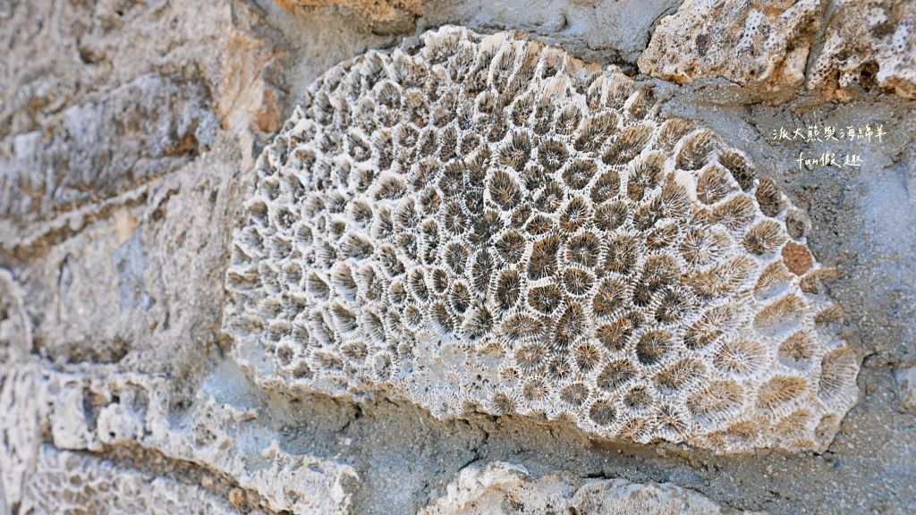 望安一日遊（含美食、景點及交通方式，中社古厝、花宅聚落、曾家古厝、澎湖望安綠蠵龜觀光保育中心、站長咖啡，吃喝玩樂就在這!）2訪囉✈2020澎湖三日補行程快閃之旅✈DAY3─1菊島漫遊