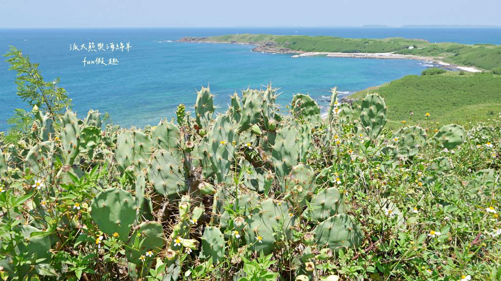望安一日遊（含美食、景點及交通方式，中社古厝、花宅聚落、曾家古厝、澎湖望安綠蠵龜觀光保育中心、站長咖啡，吃喝玩樂就在這!）2訪囉✈2020澎湖三日補行程快閃之旅✈DAY3─1菊島漫遊