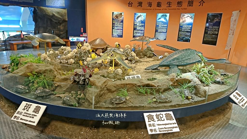 望安一日遊（含美食、景點及交通方式，中社古厝、花宅聚落、曾家古厝、澎湖望安綠蠵龜觀光保育中心、站長咖啡，吃喝玩樂就在這!）2訪囉✈2020澎湖三日補行程快閃之旅✈DAY3─1菊島漫遊