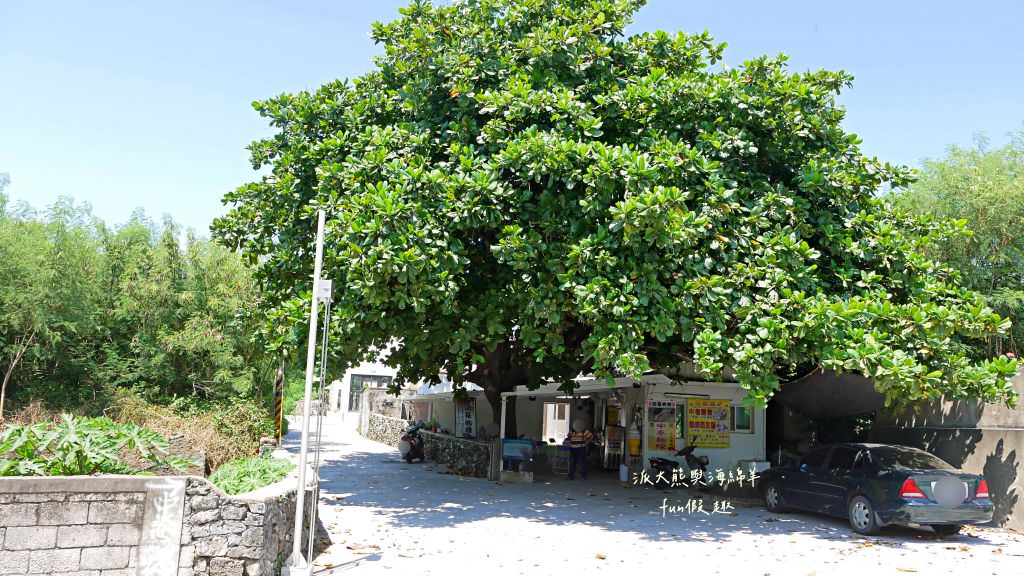 望安一日遊（含美食、景點及交通方式，中社古厝、花宅聚落、曾家古厝、澎湖望安綠蠵龜觀光保育中心、站長咖啡，吃喝玩樂就在這!）2訪囉✈2020澎湖三日補行程快閃之旅✈DAY3─1菊島漫遊