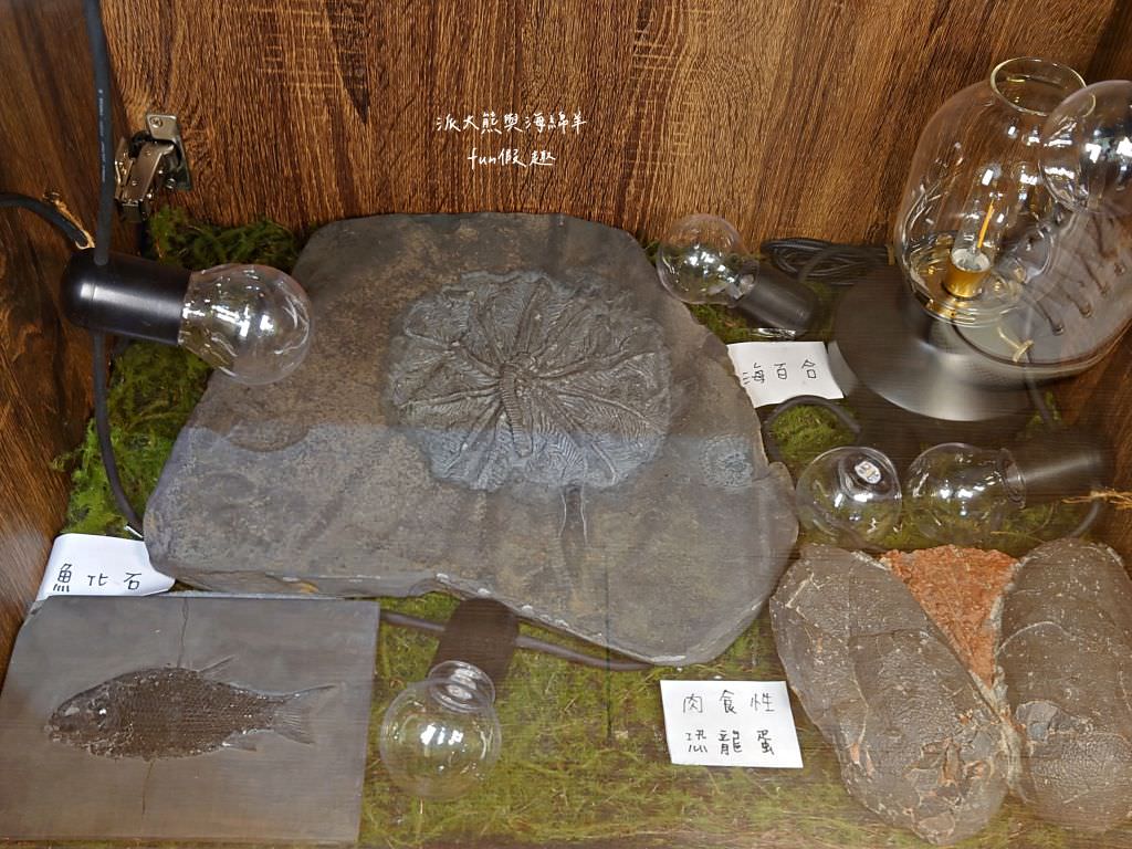 花旬定食HANA SHUN︱草屯最優質的日式豬排定食，來花旬品嚐酥脆炸物與美味甜點的絕妙組合，白飯、高麗菜絲、味噌湯均可免費續加～111.12開幕