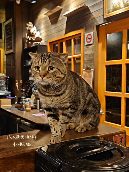 Lazy Cafe雷記咖啡︱綠意盎然的日式風格咖啡廳，享受鹿角蕨與手沖咖啡結合的完美空間，還能與可愛貓咪店長不期而遇!!!～112.4