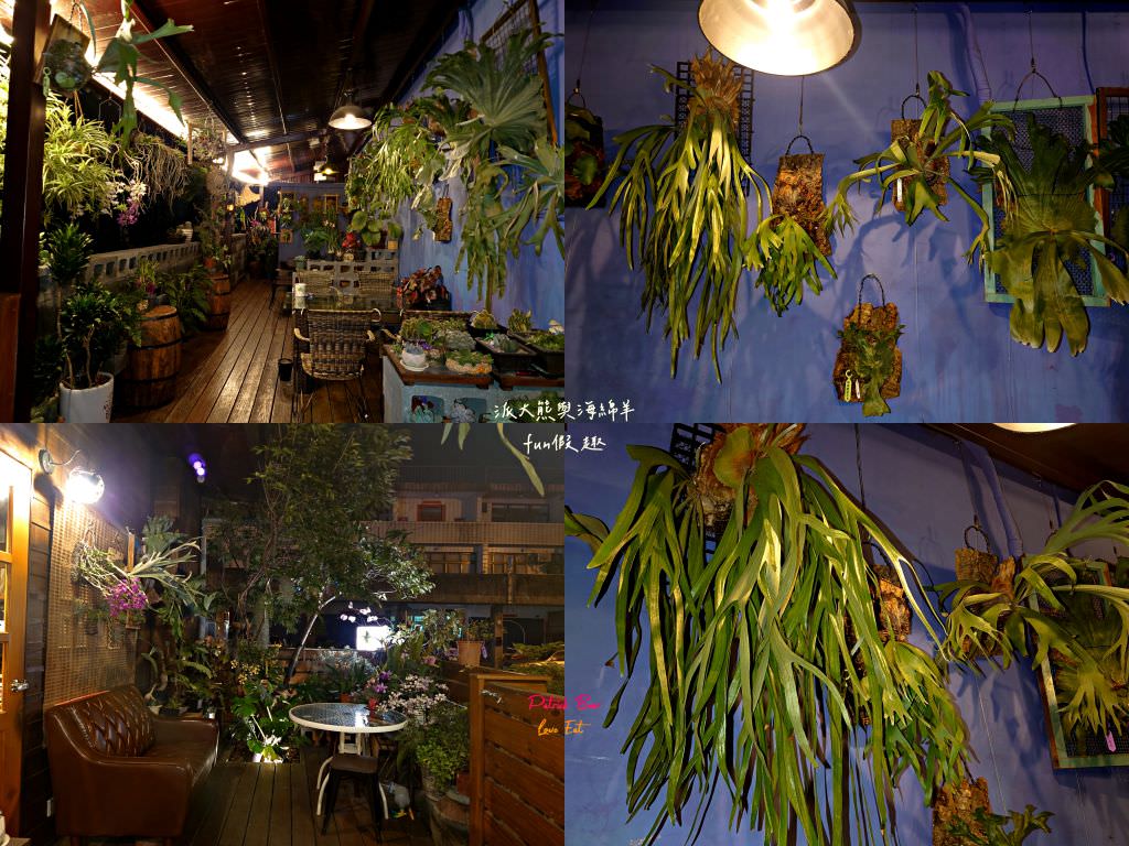 Lazy Cafe雷記咖啡︱綠意盎然的日式風格咖啡廳，享受鹿角蕨與手沖咖啡結合的完美空間，還能與可愛貓咪店長不期而遇!!!～112.4