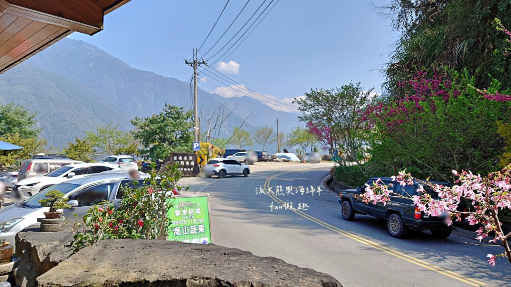 望高茶園景觀餐廳︱來望高茶園觀景、賞櫻、吃美食，3個願望一次滿足～快來櫻花觀景台!