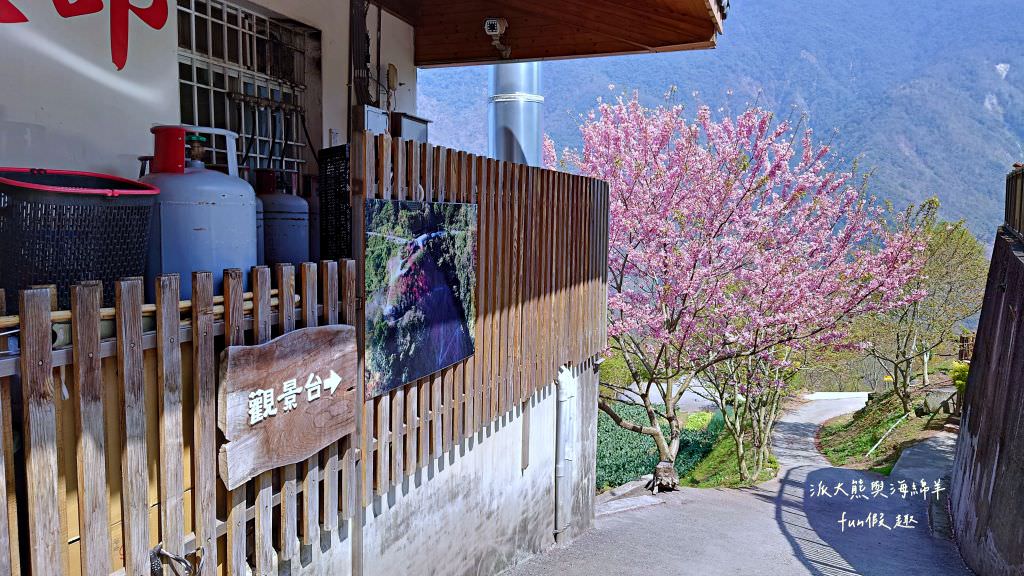 望高茶園景觀餐廳︱來望高茶園觀景、賞櫻、吃美食，3個願望一次滿足～快來櫻花觀景台!