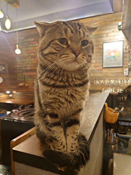 Lazy Cafe雷記咖啡︱綠意盎然的日式風格咖啡廳，享受鹿角蕨與手沖咖啡結合的完美空間，還能與可愛貓咪店長不期而遇!!!～112.4