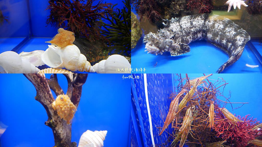 網走鄂霍次克海流冰館流冰體驗、雙美瀑布 (Osincosin瀑布)&天都山展望台~《北海道道東賞楓跟團之旅》第三天Part2 - 第21張圖 網走鄂霍次克海流冰館流冰體驗、雙美瀑布 (Osincosin瀑布)&天都山展望台~《北海道道東賞楓跟團之旅》第三天Part2