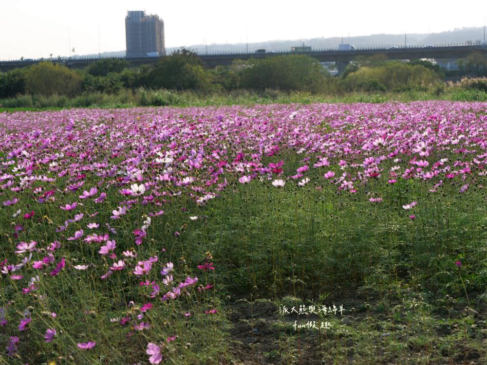2024南投燈會福氣龍來｜LAIMO馬來貘&爽爽貓在113南投龍年燈會等你唷～不定期更新!專屬主題燈區以及500台無人機群演活動內容＆交通攻略！
