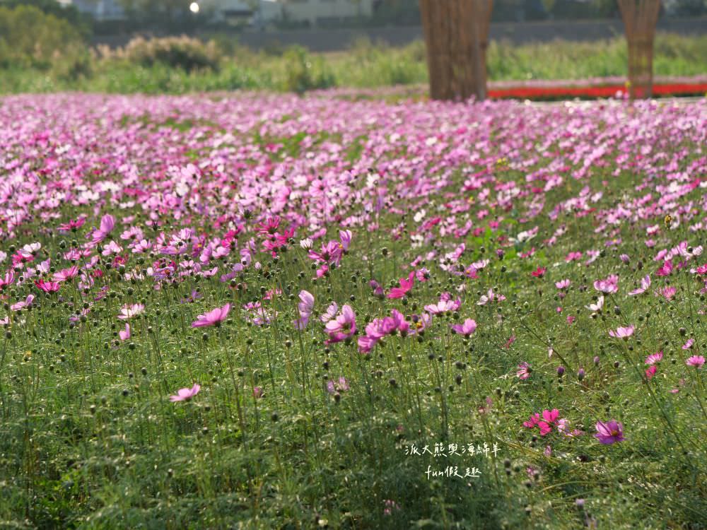 2024南投燈會福氣龍來｜LAIMO馬來貘&爽爽貓在113南投龍年燈會等你唷～不定期更新!專屬主題燈區以及500台無人機群演活動內容＆交通攻略！