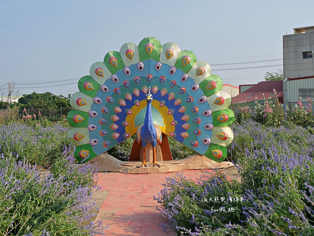 學甲蜀葵花文化節★4月花況．臺南學甲年度盛事．欣賞五顏六色的蜀葵花、鼠尾草、百日草、雞冠花、萬壽菊描繪出光華里民活動中心最美的必逛花海，也別忘了品嘗學甲必吃的美食唷!來個學甲一日遊吧～