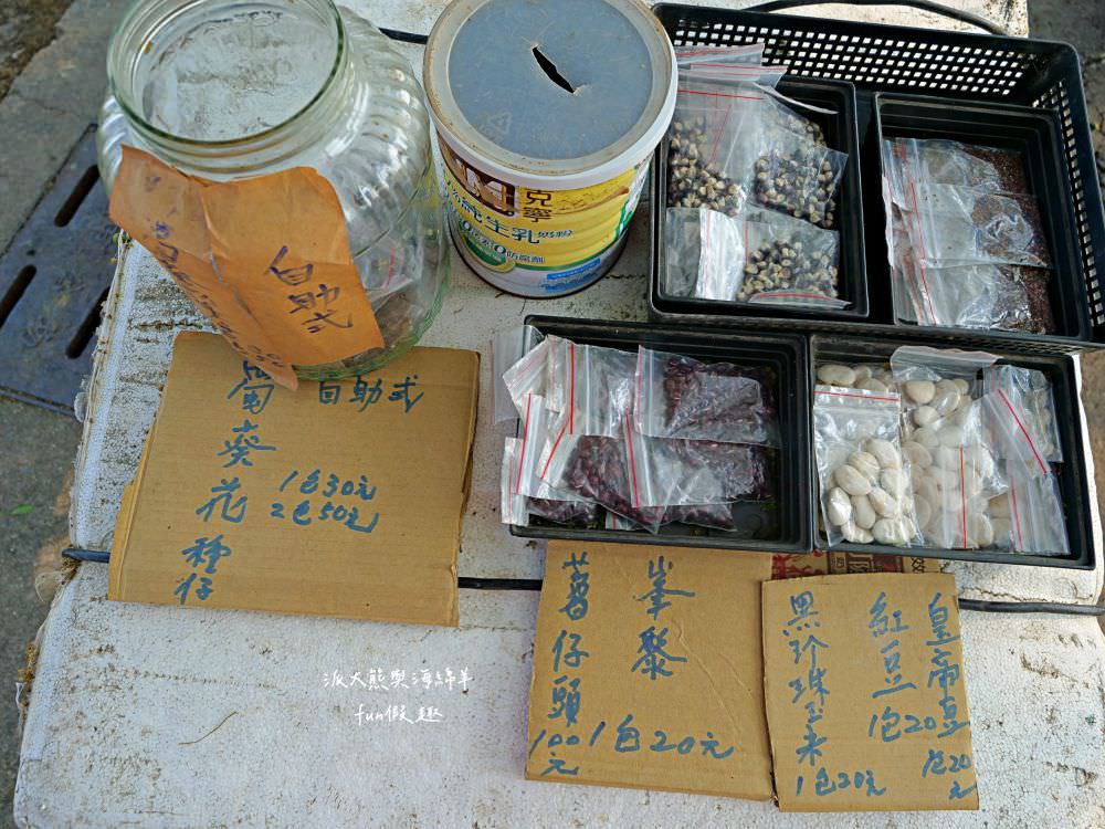 學甲蜀葵花文化節★4月花況．臺南學甲年度盛事．欣賞五顏六色的蜀葵花、鼠尾草、百日草、雞冠花、萬壽菊描繪出光華里民活動中心最美的必逛花海，也別忘了品嘗學甲必吃的美食唷!來個學甲一日遊吧～