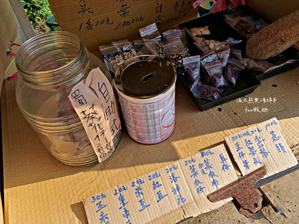 學甲蜀葵花文化節★4月花況.臺南學甲年度盛事.欣賞五顏六色的蜀葵花、鼠尾草、百日草、雞冠花、萬壽菊描繪出光華里民活動中心最美的必逛花海,也別忘了品嘗學甲必吃的美食唷!來個學甲一日遊吧~ - 第24張圖 學甲蜀葵花文化節★4月花況.臺南學甲年度盛事.欣賞五顏六色的蜀葵花、鼠尾草、百日草、雞冠花、萬壽菊描繪出光華里民活動中心最美的必逛花海,也別忘了品嘗學甲必吃的美食唷!來個學甲一日遊吧~