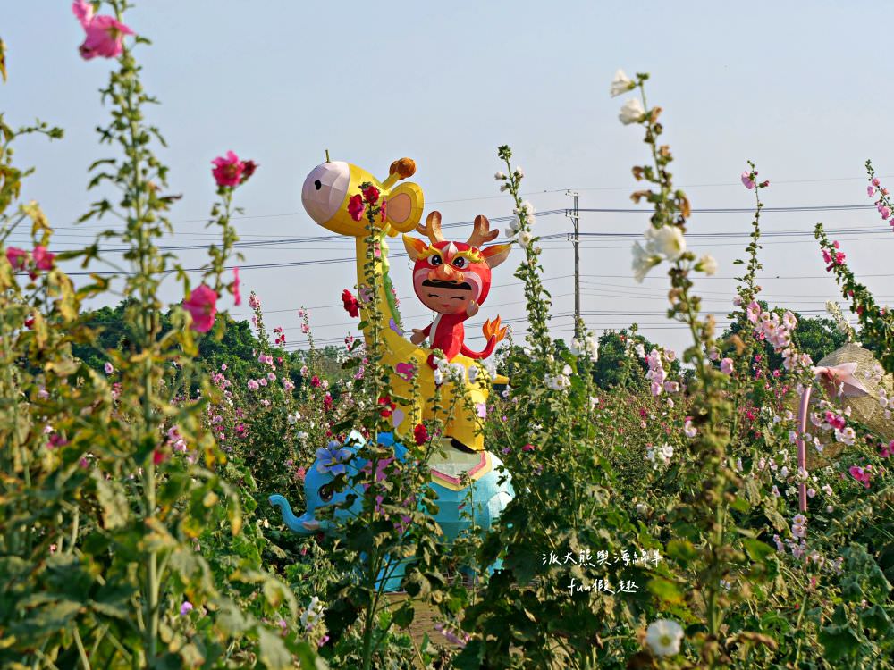 學甲蜀葵花文化節★4月花況．臺南學甲年度盛事．欣賞五顏六色的蜀葵花、鼠尾草、百日草、雞冠花、萬壽菊描繪出光華里民活動中心最美的必逛花海，也別忘了品嘗學甲必吃的美食唷!來個學甲一日遊吧～