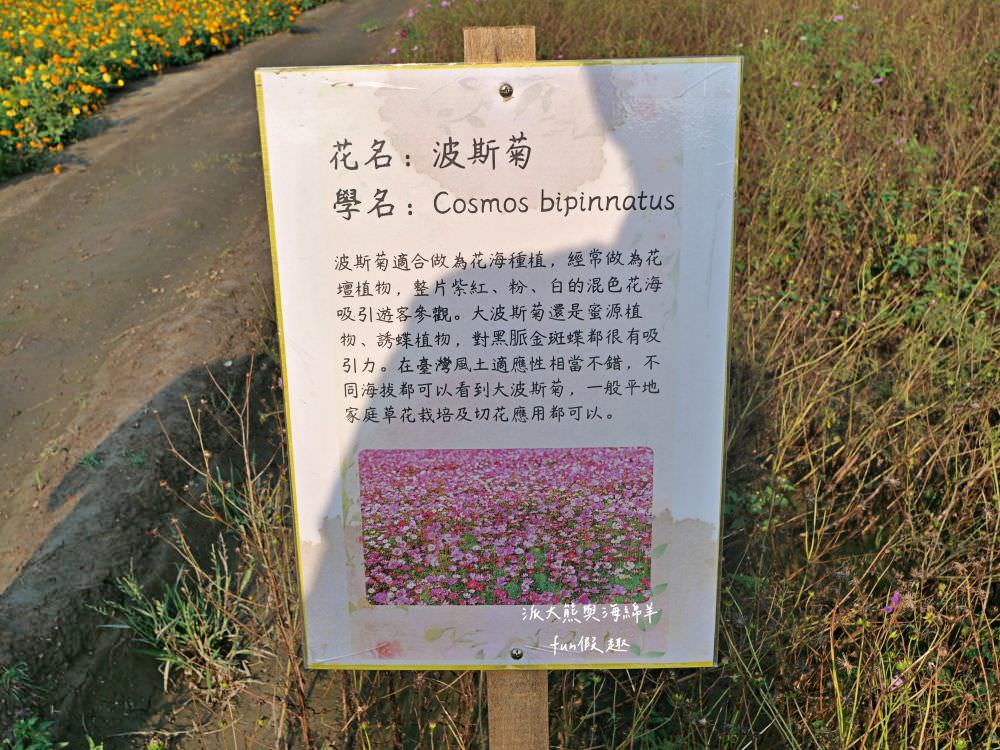 學甲蜀葵花文化節★4月花況．臺南學甲年度盛事．欣賞五顏六色的蜀葵花、鼠尾草、百日草、雞冠花、萬壽菊描繪出光華里民活動中心最美的必逛花海，也別忘了品嘗學甲必吃的美食唷!來個學甲一日遊吧～