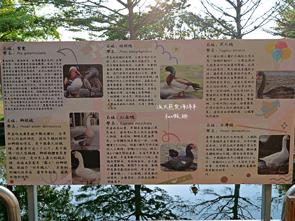 學甲蜀葵花文化節★4月花況．臺南學甲年度盛事．欣賞五顏六色的蜀葵花、鼠尾草、百日草、雞冠花、萬壽菊描繪出光華里民活動中心最美的必逛花海，也別忘了品嘗學甲必吃的美食唷!來個學甲一日遊吧～