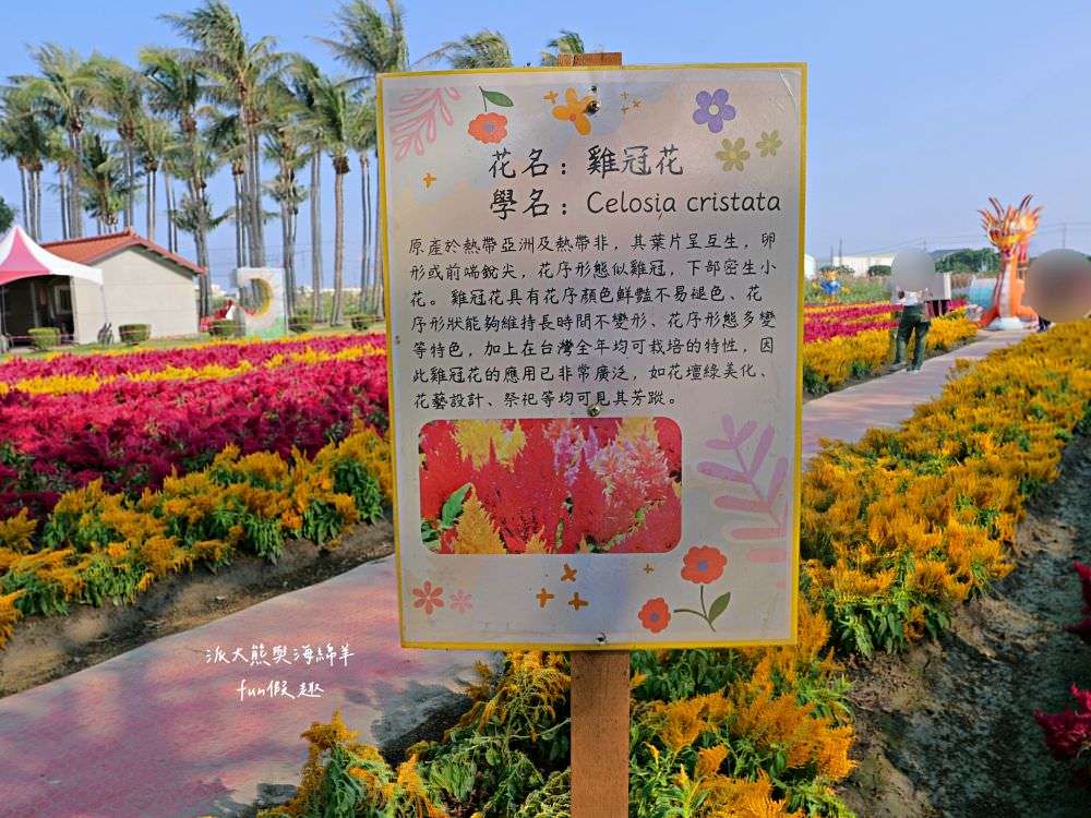 學甲蜀葵花文化節★4月花況．臺南學甲年度盛事．欣賞五顏六色的蜀葵花、鼠尾草、百日草、雞冠花、萬壽菊描繪出光華里民活動中心最美的必逛花海，也別忘了品嘗學甲必吃的美食唷!來個學甲一日遊吧～