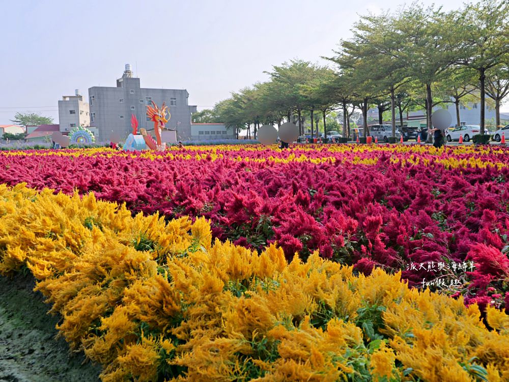 學甲蜀葵花文化節★4月花況．臺南學甲年度盛事．欣賞五顏六色的蜀葵花、鼠尾草、百日草、雞冠花、萬壽菊描繪出光華里民活動中心最美的必逛花海，也別忘了品嘗學甲必吃的美食唷!來個學甲一日遊吧～