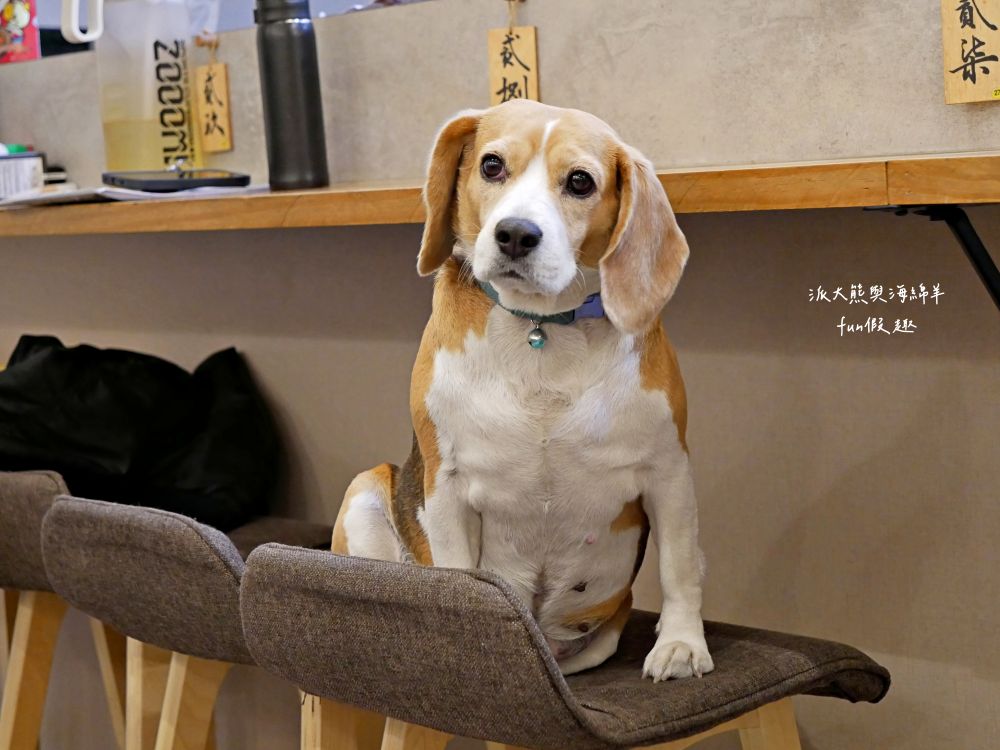 阿蓮米粉湯|經典Q彈米粉與新鮮飽滿大蚵仔完美結合,份量十足CP值高的溫馨家常料理,鄰近臺中後火車站及大魯閣新時代購物中心,傳承逾一甲子的古早好味道!!!第3代在108年開設,連食尚玩家都來採訪唷~ - 第12張圖 阿蓮米粉湯|經典Q彈米粉與新鮮飽滿大蚵仔完美結合,份量十足CP值高的溫馨家常料理,鄰近臺中後火車站及大魯閣新時代購物中心,傳承逾一甲子的古早好味道!!!第3代在108年開設,連食尚玩家都來採訪唷~