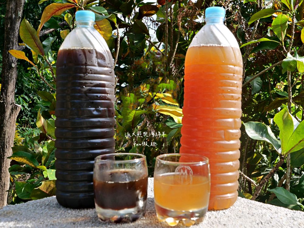 炎術︱南投埔里必喝飲料店，標榜天然無添加，以冬瓜&青草為兩大茶品為基底，延續炎姓前輩精神，調配出多種新創口味飲品，清涼消暑又解渴，還有新鮮果汁與季節限定產品唷!!!每次經過必買～入圍南投100碗美食