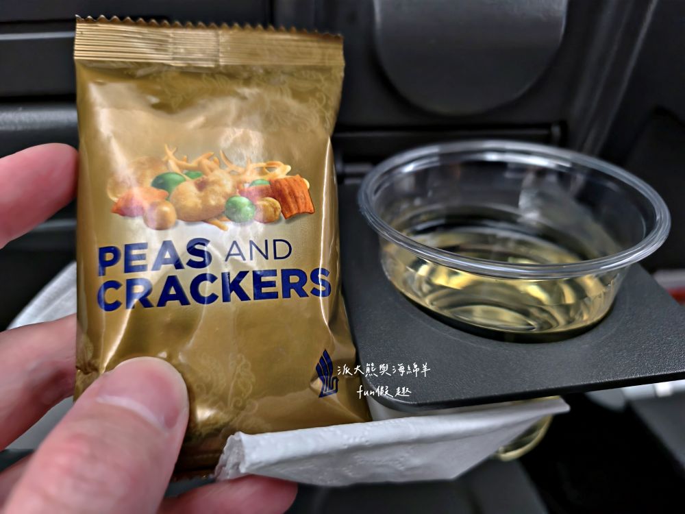 新航飛機餐全紀錄︱新加坡航空經濟艙餐點 餐食初體驗～2025春季德瑞13日夢幻跟團︱DAY1-2